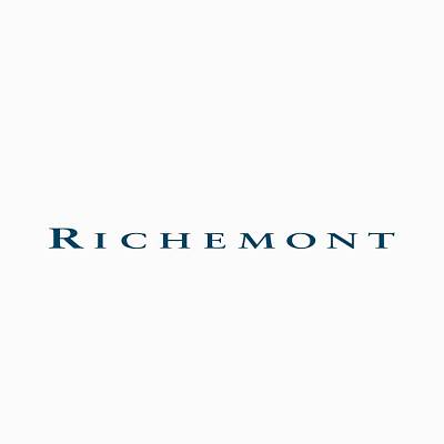 Внедрение 1С:Документооборот КОРП в компании «Richemont Russia»